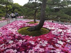 ’２１　ＧＷ山陰100名城旅２０　松江 由志園 GW期間限定の池泉牡丹を見に行く