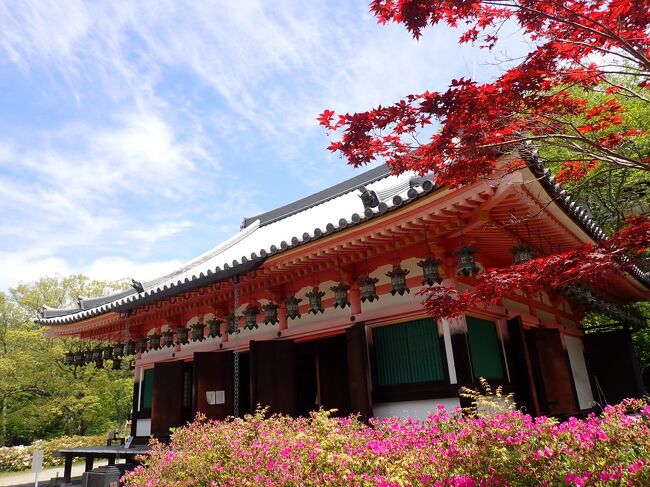 橿原神宮へ寄りました。<br />広大な神域は静寂の中神々しい時間を過ごすことができます。<br />その後、南法華寺(壷阪寺)へ向かいました。<br />南に桜の名所吉野山を控え北に万葉のふるさと大和三山奈良盆地を一望におさめる壷阪の山に建つ。大宝三年(703)に元興寺の僧弁基上人がこの山で修行していたところ、愛用の水晶の壺を坂の上の庵におさめ、感得した観音様のお姿を模刻してまつったのが始まりです。<br />https://youtu.be/8VkyizJaHGc