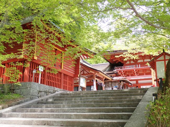 談山神社はちょっと交通の便が悪く何回か奈良には訪れていましたが、行く機会はありませんでした。<br />西暦645年の5月、中臣鎌子（後の藤原鎌足公）と中大兄皇子（後の天智天皇）の二人は多武峰（とうのみね）の山中に登って、「大化改新」の談合を行いました。 後にこの山を「談い山」「談所ヶ森」と呼び、談山神社の社号の起こりとなりました。<br />https://youtu.be/CwxGgNe5bXI