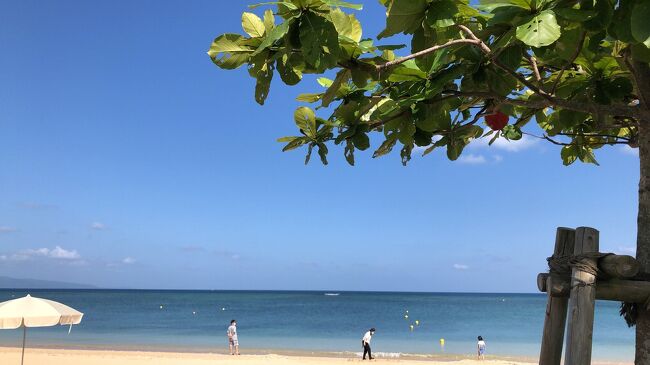  2021年4月はじめての石垣島。フサキビーチリゾート二泊三日、夫婦旅行③