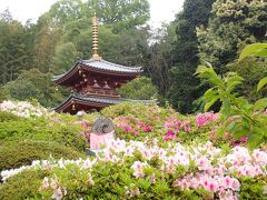 クロスカブで西国観音巡り　5日目　三輪山平等寺・大神神社へ行きました。