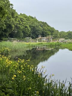 花を探して 大洲防災公園 大町公園など 市川 千葉県 の旅行記 ブログ By Miroさん フォートラベル