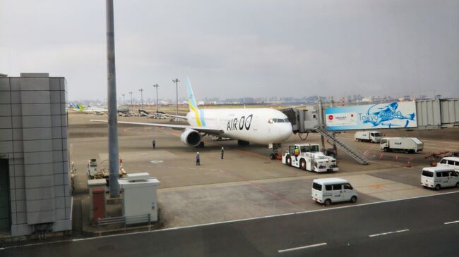 帰省シリーズなので、特におもしろくないです。笑<br />羽田空港での過ごし方を書いてます☆