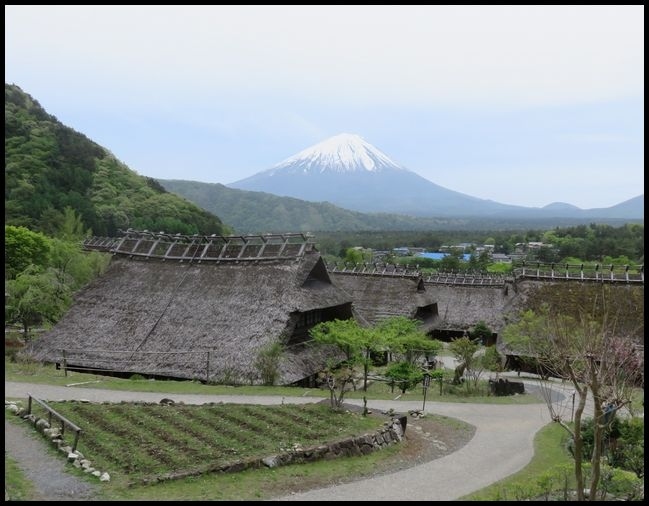 前回は石和温泉郷の春日居温泉へ行きましたが、今回は<br />石和温泉へ行って来ました。<br />飽きもせず吉田のうどんを食べ富士山を観ての旅行です。