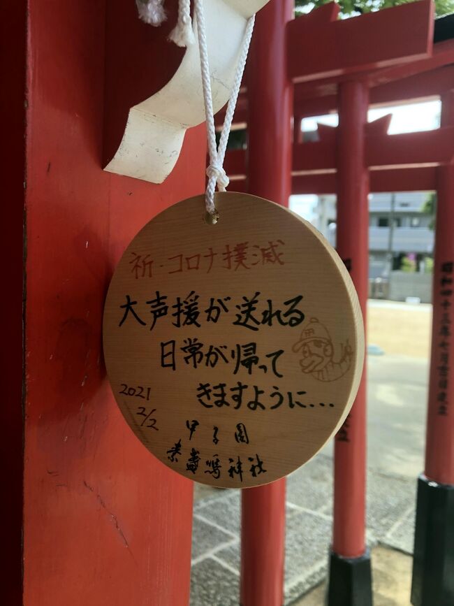 三度目の緊急事態宣言により、楽しみにしていたプロ野球2021シーズンは、無観客が前提で、混乱回避という名目で販売済みのチケットしか入場が出来ない状況が続いています。<br />シーズン開幕して2か月。。。順位は私が恐れていた通り、阪神が突っ走っています。<br />嫌な予想↓<br />https://4travel.jp/travelogue/11681933<br />https://4travel.jp/travelogue/11683677<br /><br />戦力を分析していくと、昨年からの変化は、佐藤、小林、中野というルーキー達が、即戦力となっている事、節操なく集めた助っ人外国人が、ほぼ外れなく持ち味を出している事が挙げられると思います。<br />投手陣は勝利の方程式が確立できていますし、もし誰かが故障しても次なる戦力が出てくるという、層の厚さをヒシヒシと感じています。<br />昨年までの阪神は、1.5軍の選手が入れ替わり頑張っていたと思うのですが、今年はルーキー達が1軍で頑張っている事で、追いやられた選手はファームで力を出しているのか、気になったので見てきました。<br />ファーム戦も主球場である鳴尾浜は無観客ですが、一軍が遠征中に甲子園で行われる試合は上限2,800人で開催されるとの事です。<br /><br />プロ野球に限らず、スポーツやライブ等の興行は、ファンや観客の前で行うパフォーマンスや声援があってこそだと、痛感しています。<br />東京オリンピック2020+1も開催まで2か月という時期ですが、明確な方針が示されていません。<br />４年に一度、それも一瞬の勝負に、人生の殆どを賭けてきたアスリートの心情を考えると、発表の場が無くなるという事は避けて欲しいと願いますが、もし無観客となるなら、選手は本当に心血を注ぐことが出来るのでしょうか。<br /><br />今コロナ慣れか、タオル等を掲げて拍手、手拍子という新しい応援スタイルに少し慣れてきまように思いますが、何か違うという感覚が大きくなってきています。<br />観衆は声を出して応援し、選手にはその大歓声を全身で受け止める事の幸せ、高揚感で双方笑顔となるのだろうな、と思っています。<br /><br />「大歓声が送れる日々が帰ってきますように。。。。」