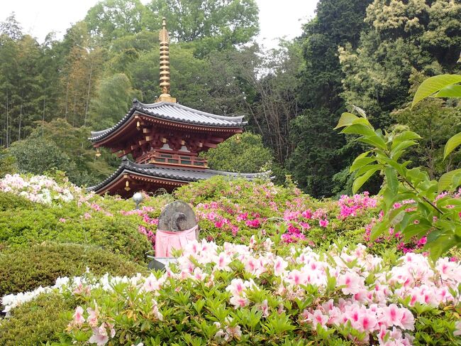 三輪山平等寺は聖徳太子が世の中の平和安寧を念じ、三輪明神に祈願して、賦後十一面観音を彫んで寺を建立したといわれています。<br />大神神社まで300Mほどですが訪れる人は少ないようです。<br />大神神社と同じ三輪山山麓にあります。<br />https://youtu.be/PHNOrkmS8hE