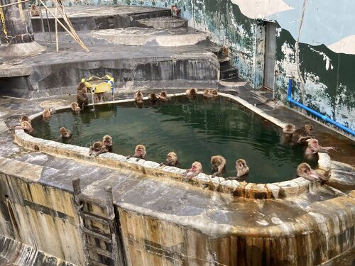 函館でお腹ポンポコの旅 1日目』湯の川温泉(北海道)の旅行記・ブログ