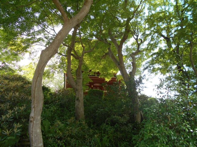 『諸国寺社参り 大和国1 談山神社』桜井・三輪・山の辺の道(奈良県)の旅行記・ブログ by しにあの旅人さん【フォートラベル】