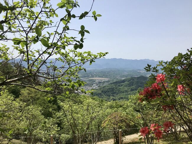 運動不足解消になればと思い、埼玉県にある宝登山へハイキングに行ってきました。<br /><br />秩父鉄道 野上駅~宝登山~秩父鉄道 長瀞駅 <br />3時間くらいのコースです。