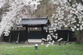 行くぜ、東北。みちのくの小京都・角館を満喫（桜まつり・郷土料理）前編