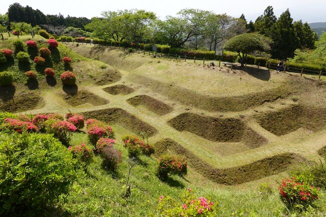 2021年ＧＷ、ダンナさんが「今年は11連休にできる！」と言うので前半はクルマでのんびり静岡城めぐりをしながら愛知に帰省し墓参り、後半は山形の温泉とクラゲ水族館に行こうと計画していました。<br />が、こういうことになったので 自宅のある神奈川県内でお泊まりし 2つの城跡をめぐってきました。