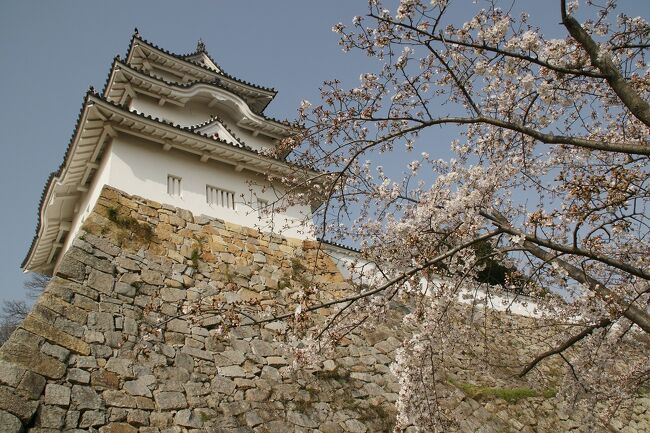 小野・加西の桜巡りをした後、しめに明石公園に行ってみました。<br />画像は明石城跡@明石公園にてです。<br /><br />過去の兵庫・明石市散歩記。<br /><br />関西散歩記~2020 兵庫・明石市編~その1<br />https://4travel.jp/travelogue/11635188<br /><br />関西散歩記~2020 兵庫・明石市編~その2<br />https://4travel.jp/travelogue/11635189<br /><br />関西散歩記~2020 兵庫・明石市編~その3<br />https://4travel.jp/travelogue/11636581<br /><br />関西散歩記~2017 兵庫・明石市編~<br />https://4travel.jp/travelogue/11251719<br /><br />関西散歩記~2016 兵庫・明石市編~<br />http://4travel.jp/travelogue/11146728<br /><br />兵庫まとめ旅行記。<br /><br />My Favorite 兵庫 VOL.4<br />https://4travel.jp/travelogue/11636586<br /><br />My Favorite 兵庫 VOL.3<br />https://4travel.jp/travelogue/11427526<br /><br />My Favorite 兵庫 VOL.2<br />http://4travel.jp/travelogue/11204126<br /><br />My Favorite 兵庫 VOL.1<br />http://4travel.jp/travelogue/10965090<br />