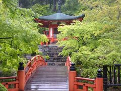 クロスカブで西国観音巡り　6日目　第11番　醍醐寺・第12番　正法寺