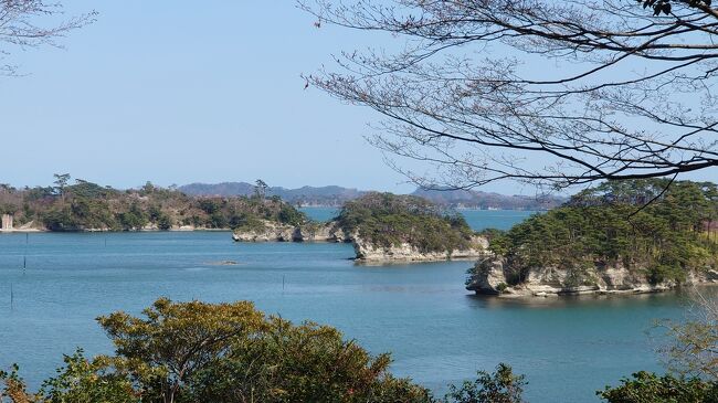 東日本大震災から10年。震災のあった10年前に初めて宮城県と岩手県を訪れました。<br />2011年の秋に訪れましたが、その時はまだ震災の爪痕が色濃く残っていました。その時と同じコースを回ろうと思います。<br />津波がきた高さ等の表示もあり、津波の痕跡も残っていました。<br /><br />あれから10年です。今回、予約した時は蔓延防止地域ではなかったのですが、その後、仙台が蔓延防止地域に入り、更に延長になってしまいました。<br />旅行間近で延長と言われてもキャンセル料が大変です。岩手県は大丈夫なので旅行する事にしました。<br /><br />予定を立てた時は、仙台から福島の郡山まで新幹線で行き三春へと乗り継いで三春の滝桜を見に行こうと思ってましたが、今年は異例の早さで満開の時期は終わってしまいました。<br />宮城では白石川堤一目千本桜（1200本の桜並木）を見に行こうと思っていたのですが、役所に問い合わせると、もうほとんど散ってしまってますと言われて諦めました。<br />蔓延防止期間も延長されたので、2連泊する予定だった仙台は1泊に変更して松島を観光しました。松島には2014年にも訪れています。