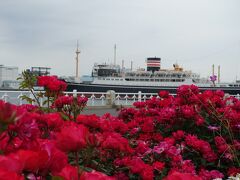 横浜ローズウィーク　山下公園