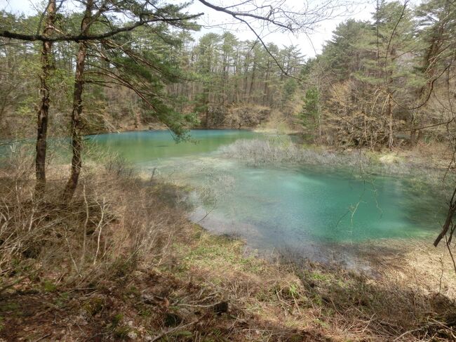 ２泊３日の会津旅行、二日目は幸い雨が降らなそうな予報なので、自然を楽しむべく裏磐梯の五色沼と小野川不動滝に行ってきました。<br />磐梯山の北側に広がる裏磐梯には、かつての磐梯山の大噴火により生まれた湖沼群が点在します。沼の色が様々な色合いが特徴的な湖沼群は五色沼と呼ばれています。今回はその五色沼を堪能できる、五色沼自然探勝路を散策しました。曇りがちな天気だったため、陽に映える輝く様な色合いには出会えませんでしたが、次々と色合いを変える、まさに「五色」沼の景観を楽しみました。<br />その後は、小野川不動滝へ。さほど有名ではないようですが、高さ16mはなかなかの迫力で、人気が少ないのはもったいない感じでした。<br />曇りがちで、残念な天気状況だったのですが、最後に磐梯山が姿を現してくれました。<br />