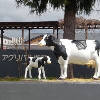 佐野厄よけ大師と那須塩原温泉へ行ってきました。（2日目）