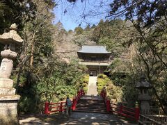 日本禅宗四大道場の名刹　雲巌寺　ナンジャモンジャ