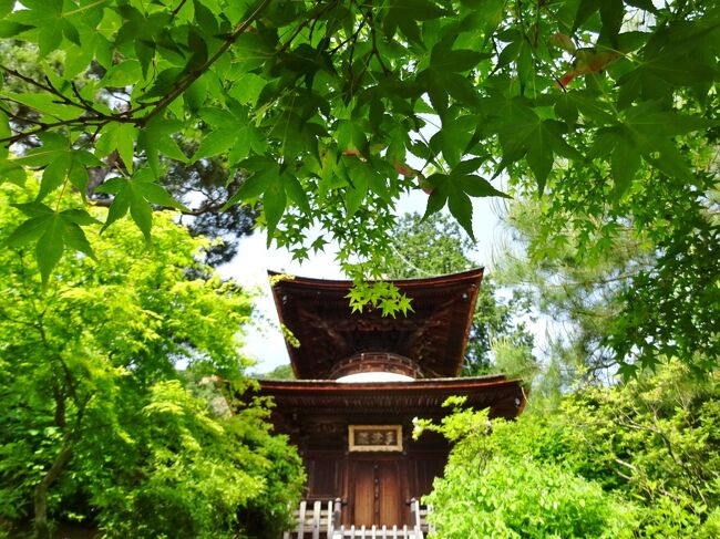 5月　　今日のお散歩は　嵯峨野へ。<br />天気予報では翌週から雨ばかり。<br />梅雨に入るかも知れないとの事だったので、<br />晴天の日に　常寂光寺と二尊院へ行くことにした。<br /><br />6月　　今回は福田美術館へ行った。<br />コロナの緊急事態宣言が発令され、しばらく休館していたが　６月に開館となった。<br /><br /><br />※寺院関連はパンフレット・HP参照・引用