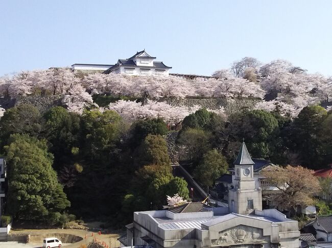 　4月5日（日）、乗用車で自宅を9時すぎに出発。高屋ICから山陽道を東に走り、岡山ICから国道53号線を北上、途中道の駅「くめなん」などで休憩をし、午後3時頃に津山に到着。津山城の眼前の津山セントラルホテルアネックスでチェックインして、さっそく津山城鶴山公園を散策した。千本以上の桜が咲き乱れ、まことに見事！街中の百貨店で弁当を購入し、ホテルの自室でビールを飲みながら見る、ライトアップされて浮かぶ幻想的な津山城と夜桜は最高だった。<br />　翌6日（月）、朝チェックアウトを済ませ、城東界隈を散策した後、グリーンヒルズ津山にある小さな美術館、M&amp;Y（棟方志功&amp;柳井道弘）記念館を見学した。「なんでも鑑定団」で最高金額を記録した棟方志功の版画を見た後、国道181号を西進して道の駅「醍醐の里」で昼食。なかなか人気のあるレストランらしく、どの料理モボリウム満点で多くの客で賑わっていた。昼食後、有名な「醍醐の桜」を見に行った。見学に訪れた車で混雑し、道路は一方通行になっていたが、見事な桜で見学の価値は十分あると思った。帰りの道路の近くにあったカタクリの花の群生地もなかなか素晴らしかった。その後、国道313号を南下し、福山東ICから高屋ICまで中国道自動車道を走り、東広島呉自動車道を経由し、自宅についたのは午後6時過ぎだった。<br /><br />