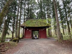 新緑まぶしい雨の信州 21 5 パワースポット戸隠神社奥社参拝 1日目 戸隠 鬼無里 長野県 の旅行記 ブログ By あ しゃんさん フォートラベル 新緑まぶしい雨の信州 21 5 パワースポット戸隠神社奥社参拝 1日目 戸隠 鬼無里 長野県 の旅行記 ブログ By あ しゃんさん フォートラベル