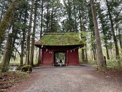 新緑まぶしい雨の信州【2021.5】…パワースポット戸隠神社奥社参拝《１日目》