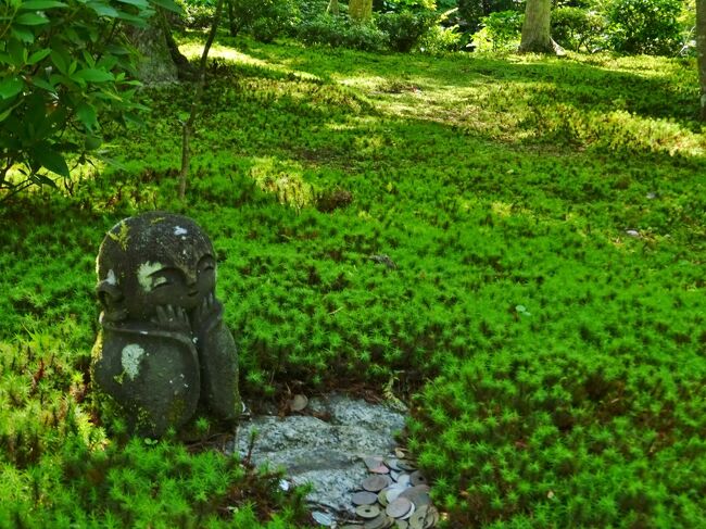 5月、一乗寺にある圓光寺。<br />秋には敷もみじを見に多くの人が訪れる圓光寺。<br />元は徳川家康が開いた洛陽学校で、明治以降には　俗世を捨てた女性たちを包み込む尼寺の修行道場だった事もある特殊な歴史を持っていた。<br /><br />6月の平安神宮。<br />花菖蒲が一番見頃の時に、一日だけ市民に無料開放される神苑。<br />桜の頃とは　また違った、落ち着いた美しさのある花菖蒲の庭だった。<br /><br /><br />※寺社関連は　パンフレット・HP引用<br />