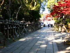 石清水八幡宮 上院参道(Approach for Upper Palace, Iwashimizu Shrine, Kyoto, JP)