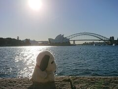 シドニーおっさん一人旅(３日目)