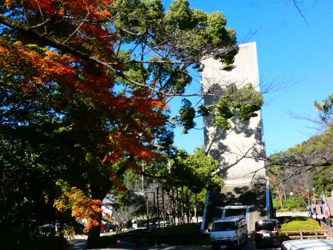 2020年11月19日(木)12時過ぎ、石清水八幡宮の上院参道の西側、平安時代中期から仏堂建立が始まった西谷地区へ。平安時代後期に、白河法皇が大塔の建立を発願したことをきっかけに、谷を埋めた大規模な整地が行われ、大塔に続き小塔、鎌倉時代には八角堂が建立されたところだが、現在はこれらの建物は残っていない。大塔は1111年に完成した巨大な仏塔だった。1603年に豊臣秀頼が再建。その絵図面によると、現存する和歌山県根来寺の国宝の大塔とほぼ同規模の、日本最大級の真言形式の大塔で、側柱一辺14.9m、高さ27.1mあった。明治初期に神仏分離令のため取り除かれた。現在、生垣の通路に見えている丸い花崗岩が落ち縁の礎石だった。その南、小塔は鳥羽天皇の皇后である待賢門院(藤原璋子)の発願により1132年に建てられ、安土桃山時代末期の1596年の慶長の大地震で倒壊したまま再建されなかった。大塔より小型の多宝塔と呼ばれる形式の塔だった。大塔の北、八角堂は鎌倉時代の初め、第84代の順徳天皇の御願により建てられた。隅切り八角形の仏堂で、堂内には像高約3mの金色に輝く阿弥陀如来坐像が納められた。その後、1607年に豊臣秀頼により再建された。このお堂も明治になり神仏分離令にため撤去されることとなり、男山の南にある正法寺の住職・志水円阿が1870年(明治3年)に私有地であった現在の松花堂庭園の北西に移築し、現在もそこにある。堂内に安置されていた阿弥陀如来像国の重文指定を受け、現在は正法寺の法雲殿に安置されている。現在の西谷にあるのは、まずは三ノ鳥居から西に入ったところにある大楠公手植えの楠。南北朝時代に入ってすぐの1334年に楠木正成が必勝祈願参拝の折に奉納した25本の楠のうちの1本。御文庫のクスノキと呼ばれ、根周り18mの樹齢700年にせまる大木。その少し北側に建つのが、都山流尺八楽会初代宗家中尾都山顕彰碑。中尾都山宗家は全国を行脚し斯道の普及に努め、1896年(明治29年)に都山流を創始した。枚方生まれで、幼児の頃母に連れられて参詣したことを切っ掛けに石清水八幡宮を信仰し、以来亡くなるまで75年間この神社を守護神として敬った。広場の奥、西側にはエジソン記念碑。元々はあのエジソン(Thomas Alva Edison)の電灯発明50周年を記念して計画され、境内隣に1934年に建立された。その後1958年に現在地に移転、さらに1984年にデザインを一新して建て替えられた。何故ここにエジソンかと云うと、1879年に白熱電球を発明した彼は、その後も電球の長寿化に取り組み、紙や糸、植物の繊維など数々の材料のフィラメント(Filament)を試していた。その数は植物の種類だけでも6000種類以上と云われる。ある日、日本からの土産として研究所にあった扇子の骨を使ったところ寿命が大きく伸びたため、その材料の竹で最適のものを求めて世界中に研究員を派遣した。その一人のムーア研究員(William H.Moore)が日本を訪れ、様々な地域・種類・成長度の竹を集める中、当時の槇村正直京都府知事から竹の名産地であった八幡竹を紹介され、他所の竹と共にエジソンのもとへと送った。そして、この八幡竹から作ったフィラメントが最適のものと判明、発明時には40時間だった寿命が平均1000時間以上に伸びた。1892年にセルロース(Cellulose)製に転向されたが、それまでは男山の竹で造られたフィラメントを使った電球がアメリカの家庭や職場、街頭を明るく照らしていた。記念碑の前には電気繋がりで電気自動車のEVコンセントが設置されており、またエジソンの誕生日である2月11日にはエジソン生誕祭、命日である10月18日前後にはエジソン碑前祭が斎行され、記念碑前で日米両国の国歌を奉奏し、国旗を掲揚している。記念碑の正面に建つ塔は涌峯塔(ゆうほうとう)といい、1984年に彫刻・陶芸で高名な清水九兵衛氏の設計で建てられたもの。神刀や神職の使用する笏や冠のような形をしており、高さ18.3mある。単なるシンボルタワーでなく、ポンプで塔の高いところに水を吸い上げ、落下する水の勢いを利用して各所に配水する石清水八幡宮の給水塔となっている。涌峯塔の前、路を挟んで北側に建つのがボーイスカウト像。京都ではボーイスカウトの活動が活発で、名だたる神社やお寺もボーイスカウトの団本部になっており、その中の一つがこの神社にあり、この像を建立した。うちの子供たちも一度カブスカウトのイベントに参加したことあったが、興味を持たなかったのでその後は縁がなかったわ。さらに北側、大塔跡と八角堂跡との間にあるのが三女(さんみょう)神社。平安時代の1042年に大分の宇佐神宮から勧請された。天照大神(あまてらす)と建速須佐之男命(すさのお)のうけい(占い)から生まれた3柱の女神、多紀理毘売命(たぎりびめ)、市寸島姫命(いちきしまひめ)と多岐津比売命(たぎつひめ)を祀っている。この3柱の女神は宗像三女神と呼ばれ、玄界灘の沖津島・大島および玄海町に分かれて祀られる宗像大社の祭神で、航行安全・豊漁などを司る海の神。三女神社から上院参道に向かう途中には八幡五水の一つの供御井(くごい)。覆屋の井戸で、切妻造・妻入・屋根本瓦葺。江戸中期の1714年頃の建立と考えらている。実際には、これから御本社に参って、男山展望台を回ってから行ったのだが、供御井と涌峯塔の間、東側に2013年リニューアルした境内休憩所、石翠亭があり、白い出汁が特徴の白こいうどんを戴いた。白みそのように見えるが、豆乳ベースで、なかなか美味しかった。https://www.facebook.com/media/set/?set=a.5720632918006685&type=1&l=223fe1adecいよいよ御本社にお参りするが、続く