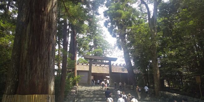 日本有数の人気神社である伊勢神宮。<br />三重県には仕事で何度か行ったことがあるが、伊勢神宮は未訪。<br />名古屋に行くので、是非伊勢神宮は参拝したい。<br /><br />この旅行では伊勢神宮をメインとして組み立てよう。<br />新幹線で名古屋へ。<br />子供の頃は2時間以上かかったきもするが、2時間を大きく割り込んで到着する。<br />名古屋からは地下鉄で伏見まで出る。<br /><br />宿泊先のダイワロイヤルホテルD-CITY名古屋伏見にチェックイン。<br />早速ディナーを食べに行こう。<br /><br />名古屋名物の一つに洋食がある。<br />ホテルからも近い広小路キッチンマツヤに向かう。<br />人気店だが予約をしていたので2階のテーブル席に案内される。<br /><br />何となく昭和チックな店内で気軽に美味しいものが食べられそうだ。<br />味噌カツや海老フライ、トンテキなどを食べながら生ビールやシークワーサーサワーを飲む。<br />さすがに洋食はボリュームがあり満腹になる。<br />満足して店を出る。<br /><br />きれいなホテルで快適に休んで翌朝はホテル1階にあるまつまさで朝食。<br />メインはトンカツかハンバーグ。<br />そこに御膳が付くスタイル。<br />ここも思った以上に美味しくて満足。<br /><br />さて伊勢神宮に向かおう。<br />タイムズのカーシェアを予約していたので駐車場でレンタルして伊勢に向かう。<br /><br />伊勢神宮の駐車場は混み合っているが、何とか待たずに駐車できた。<br />車を停めて地下道を抜けて風情ある参道を歩くと有名なおかげ横丁に着く。<br />招き猫が出迎えてくれ、多くの飲食店や土産物屋がある。<br /><br />まだお腹も空いていないので、少しぶらついて伊勢神宮に向かおう。<br />きれいな五十鈴川を通り内宮に向かう。<br />木々がある気持ちの良い道を進む内宮に到着する。<br /><br />写真撮影は出来ない。<br />ここも伊勢神宮らしい厳かさがある。<br />参拝後は御朱印を頂く。<br /><br />まだ御朱印帳には空白があったが、せっかくなので伊勢神宮の御朱印帳を購入して御朱印を頂く。<br /><br />夏だが気分の良い道を歩いておかげ横丁に向かう。<br />松坂牛の串焼きとノンアルビールを立ち飲みして駐車場に向かう。<br />時間があれば美味しそうな店もあるし、赤福のかき氷にも惹かれたが、ランチには少し早いので断念した。<br /><br />駐車場に戻ると、来るときに気になった神社が隣にあるのを思い出して、参拝に向かう。<br />猿田彦神社は芸能や縁結びの神様として人気。<br />参拝し御朱印を頂く。<br /><br />充実した初めてのお伊勢参り。<br />さて名古屋に戻ってランチを食べよう。