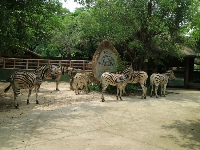 ホーチミン市街から1時間ほど行ったところにある動物園<br />動物が檻の外にいたり…自由な動物園<br /><br />コロナ第四波が来て、さまざまな施設などが閉鎖される前の様子<br />ちなみに，ホーチミンは5月31日からロックダウンされる様子<br />