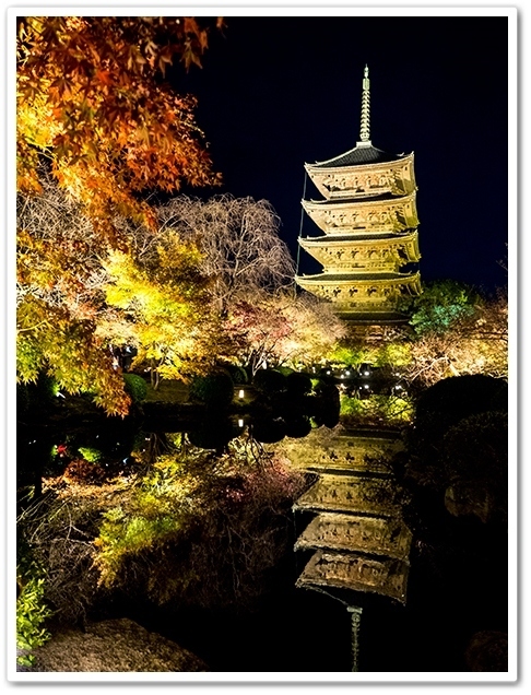 京都行きたいね、紅葉シーズンの!<br />と、思い続けて何年だろうか<br />でもここ数年は特に海外からの観光客で<br />大混雑らしいと聞き諦めていた私たち<br /><br />が、2020年世界的にコロナが大流行<br />インバウンドに頼っている業界の方からしてみれば<br />喜ばしい事ではないので複雑ですが<br />もしかしたら今なら日本人だけの<br />本来の京都を観光できるチャンスかも!<br />念願のベタなセリフをやっと言える機会がきたよ<br /><br />そうだ京都、行こう。<br />(しっかり感染対策してね)<br /><br />=======================<br />一日目<br /><br />・竹仙(湯豆腐)<br />・祇王寺<br />・二尊院<br />・常寂光寺<br />・東寺<br />・Fuji屋 京色(夕食)<br />・ダイワロイヤルホテルグランデ京都泊<br /><br />========================<br /><br /><br /><br /><br />