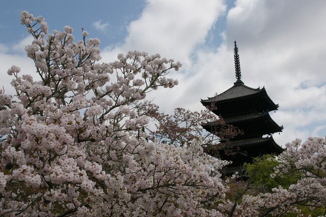 関西散歩記～2021 京都・京都市右京区編～その2“世界遺産「古都京都の文化財」”