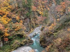 2020年　宇奈月トロッコ電車　紅葉の旅　2日目中編