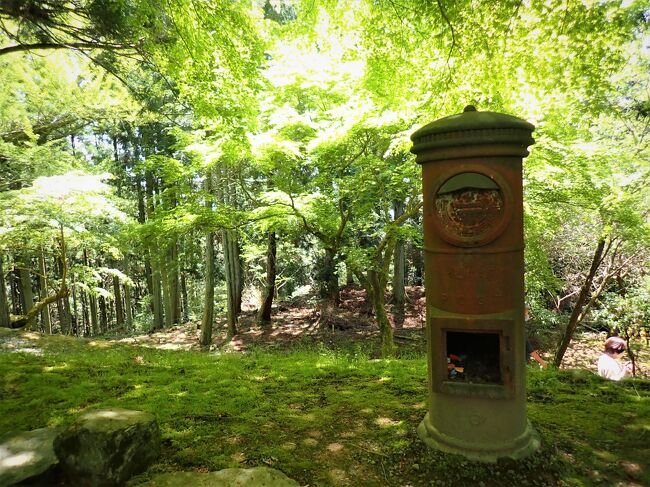 中山寺からは約45㎞、1時間25分で播州清水寺へ到着しました。<br />御開山法道仙人は印度の僧で、今より1800年前、人皇十二代景行天皇が治められていた時に御嶽山に住まわれ鎮護国家豊作を祈願されました。<br />もともとこの地は水に乏しく、仙人、水神に祈ったところ、霊泉が湧水し、その事に感謝して「清水寺」と名付けられました。<br />https://youtu.be/1mNr2TsRI-Q<br />