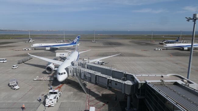 本日は早めに羽田空港に移動し、ブログ更新などしていました。<br /><br /><br />GOTOトラベル　33・34・35泊目<br />宿泊ホテル：アパホテル大森駅前<br />宿泊費　　：\15,000-<br />還元(gotoﾄﾗﾍﾞﾙ)：\5,250-<br />地域共通クーポン：1,000　X 3枚<br />高岡市キャンペーン：<br />実質宿泊費:\6,750-<br /><br />【累計】<br />還元(GOTOﾄﾗﾍﾞﾙ)累計　： \111,778-<br />地域共通クーポン          ：￥20,000<br />魚旅　　　　　　　　　  :  \16,000　　<br />黒部市割引き                 :  \3,000<br />高岡市割引                   ： \1,000