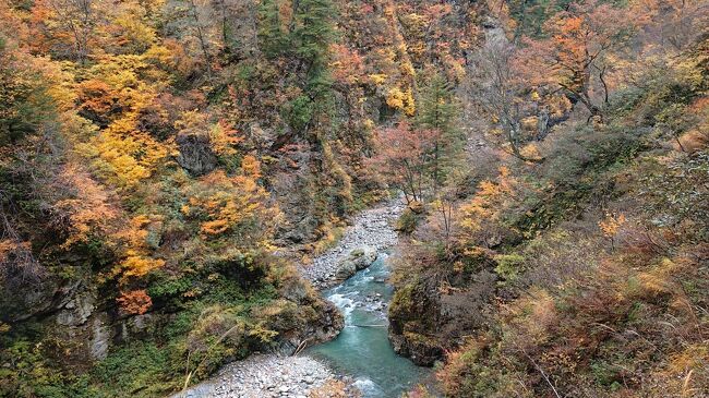 まだ一度も入浴したことのない『祖母谷温泉』に入ることが目的でしたが、すでに冬季の休業に入り、今回も入浴できませんでした。仕方ないので『名剣温泉』に入ろうと思いましたが、先客が多く、待ち時間が長そうだったので、ここも諦めました。（名剣温泉は一度入ったことがある。）