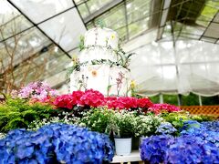 雨あがり　薔薇と木の薫りに包まれる箱根　強羅花扇の旅