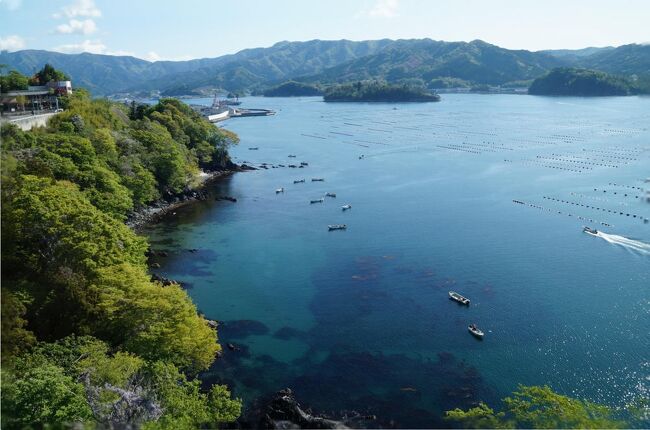 旅のプランを考えるにあたり、当初の予定では、さらに北上して釜石、大槌、宮古を訪れ、浄土ヶ浜あたりで一泊して盛岡廻りで帰るコースを考えていたが、諸般の事情により残念ながら大船渡からUターンとなってしまった。（fuzzさん、ごめんね。いつかリベンジします。）<br /><br />表紙の写真は宿泊した大船渡温泉の窓から撮影した大船渡湾の風景。底まで見える綺麗な海では朝からウニ採りの小舟がたくさん集まっていた。<br /><br />ホテルの口コミは↓<br /><br />https://4travel.jp/dm_hotel_tips/14370381<br />