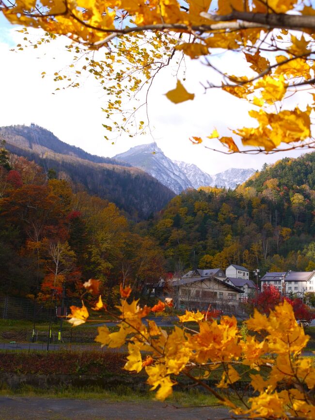 2020秋　大阪帰る前に【HOKKAIDO LOVE 鉄道＆バスの旅】②層雲峡滞在編　ほぼ「もみじ谷」