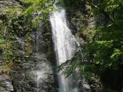 新緑まぶしい箕面散策