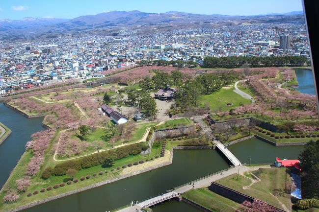 2021年4月22日～23日で函館・青森旅行をしました。1日目の朝、羽田を出て函館入り。函館を1日楽しんで翌日に北海道新幹線で青森県・弘前市へ。弘前で桜を見たら東北新幹線で帰京。<br />今年は桜の開花が早く、函館は4月24日ごろ満開、弘前では4月23日現在、既に散り始めの状態でした。立派な桜たちを見て癒された旅でした。<br />あとは念願だったJRイン函館に宿泊することもできました。<br /><br />今回も三密回避をして旅行しました。往路の飛行機から食事・ホテル・移動手段すべてにおいて人との接触を極力避けました。また、旅行前にPCR検査を受け、陰性であることを確認してから旅行しました。今後、このようなスタイルが増えていくかもしれません。