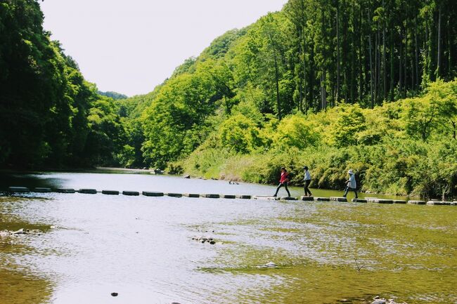 まん延防止対象の地域に指定されていた我が家はGWはおとなしくしていたけどさすがにつまらなくなった夫が県内の近場なら出掛けてもいいんじゃないかって言うことになった。<br /><br />県内の移動で、車でいくとしたらどこにする？<br />列車で行くのはちょっと不便だけど渋沢栄一で盛り上がっているだろう深谷か<br />それとも最近話題になることの多い嵐山の杉山城址か。<br /><br />深谷は密になる?ってことで嵐山に行くことに。<br />埼玉県民はあたりまえに「らんざん」って読んでいるけど<br />普通は京都と同じ「あらしやま」って読むんでしょうね。