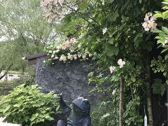 5月の爽やかな風に誘われて久々の日曜ひとりドライブ。バラの香りと人で溢れたローザンベリー多和田2度目の訪問。