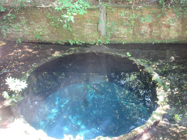ある旅行記の一枚の写真がずっと心に突き刺さっていた。<br />コバルトブルーに染まる湧き水の井戸。見たことのないような美しい色。<br />本当にこんな美しい深い青色が存在するのか。<br /><br />三島駅からほど近い柿田川公園にその井戸はあるらしい。<br />三島は湧き水とせせらぎが美しい場所らしい。<br />日曜日は久々の晴天の予想、そうだちょっと行ってみよう。
