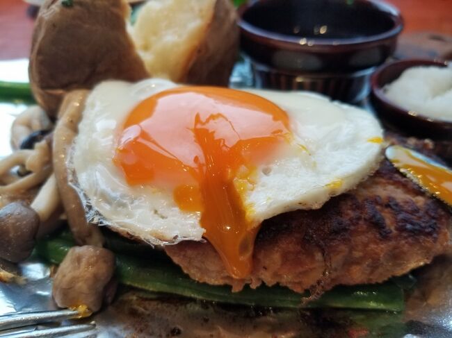 大阪グルメ<br /><br /> 〇ゆきや。(日本料理)<br /> 〇コプチャンち(韓国料理)<br /> 〇グリルキャピタル東洋亭(ハンバーグ)<br /> 〇龍多風亜(タイ料理)<br /> 〇まる姫(フルーツ大福)<br />