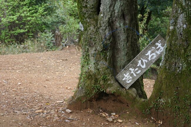 仁和寺から双ヶ丘を通り、JR花園駅に移動しました。<br />画像が、きたひろば＠双ヶ丘にてです。<br /><br />過去の「花園」な散歩記。<br /><br />関西散歩記～2020 大阪・東大阪市編～「近鉄東花園駅」<br />https://4travel.jp/travelogue/11628170<br /><br />過去の京都・京都市右京区散歩記。<br /><br />関西散歩記～2019-4 京都・京都市右京区編～<br />https://4travel.jp/travelogue/11500670<br /><br />関西散歩記～2019-3 京都・京都市右京区編～<br />https://4travel.jp/travelogue/11493683<br /><br />関西散歩記～2019-2 京都・京都市右京区編～<br />https://4travel.jp/travelogue/11486968<br /><br />京都まとめ旅行記。<br /><br />My Favorite 京都 VOL.7<br />https://4travel.jp/travelogue/11669572<br /><br />My Favorite 京都 VOL.6<br />https://4travel.jp/travelogue/11504781<br /><br />My Favorite 京都 VOL.5<br />https://4travel.jp/travelogue/11463030<br /><br />My Favorite 京都 VOL.4<br />https://4travel.jp/travelogue/11369230<br /><br />My Favorite 京都 VOL.3<br />https://4travel.jp/travelogue/11275410<br /><br />My Favorite 京都 VOL.2<br />http://4travel.jp/travelogue/11120777<br /><br />My Favorite 京都 VOL.1<br />http://4travel.jp/travelogue/10945390