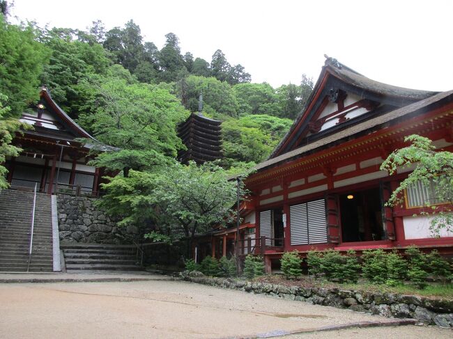 数ヶ月前夢に突然現れた、eahawk家始祖藤原鎌足!<br />eahawk家には家系図があり、始祖は藤原鎌足で次男不比等の流れが我が家なのですが、今までは漠然とそうなのかすごい先祖だな位に思っていましたが、夢に現れるとはなんぞや!!!<br />ということで色々と気になり調べていると、鎌足公没後丁度1300年後にeahawk誕生など気になる事が次々と!!!<br />これはお墓参りを兼ねて現地に行き、身体でエネルギーを感じるしか無いなとのことで参拝をした談山神社をご紹介いたします!<br />参拝当日も不思議なことが色々とありました!