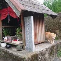 高知市 鏡川を自転車でさんぽ